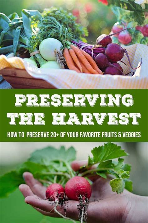 Preserving zucchini makes sure that we have homegrown zucchini all year long! Preserve Zucchini 3 Ways | Fruit preserves, Preserves ...