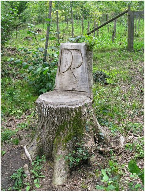Tree Stump Chair Tree Work Ideas Pinterest Trees