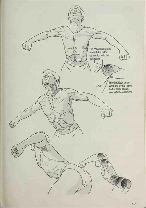 How To Draw Manga Volume 4 Bodies And Anatomy Indonesia Mendesain