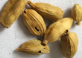 Fruit, illicium verum, coriander seeds, a piece of clothing. Masyimalo Heart ♥: Meh kenali rempah ratus