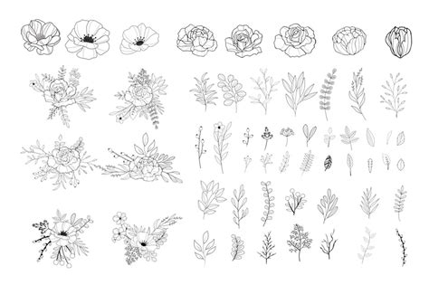 Hand Drawn Floral Vector At Vectorified Com Collection Of Hand Drawn
