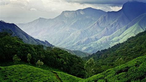 The Best Time To Visit Munnar Trans India Travels