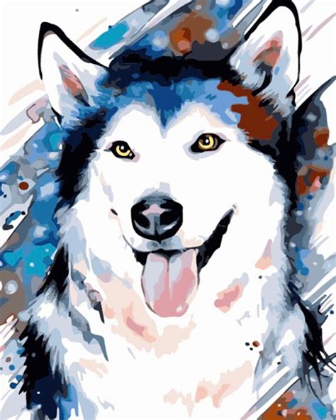 Paint By Numbers 40x50cm Colourful Husky