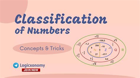 Classification Of Numbers Exciting Facts To Secure 100 Logicxonomy