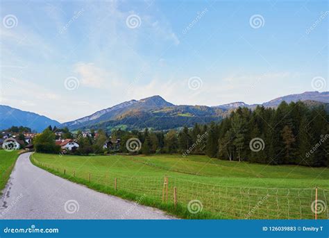 Beautiful Mountain Valleyfield Road Landscape With Forest Traditional