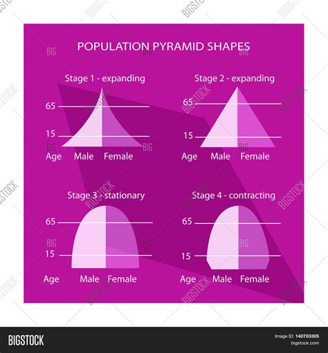 Population And Demography Illustration Set Of 4 Types Of Population Pyramids Chart Or Age