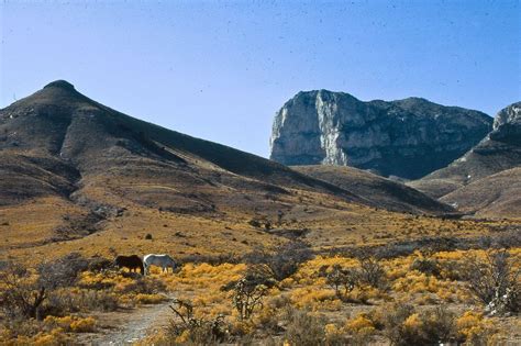 Guadalupe Mountains National Park Wallpapers Wallpaper Cave