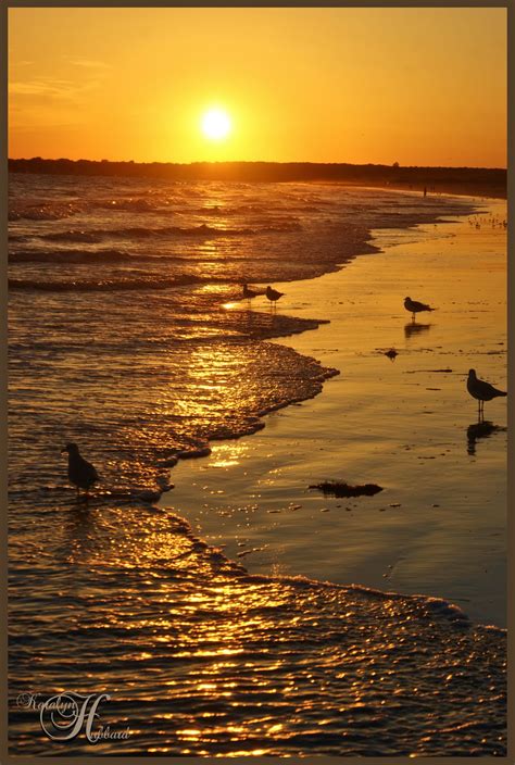 Horseneck Beach Cape Cod Massachusetts Beach Life Cape Cod Cape