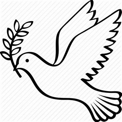 Dove Peace Branch Olive Symbol Icon Bird