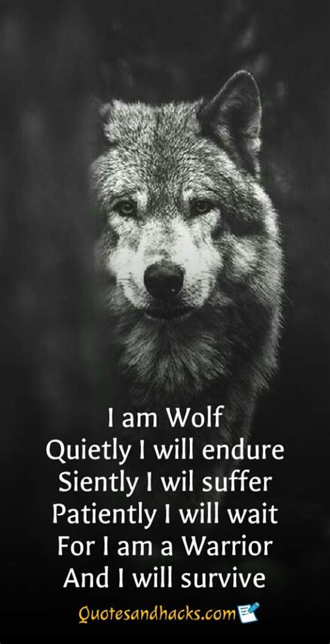 30 Lone Wolf Quotes That Will Trigger Your Mind