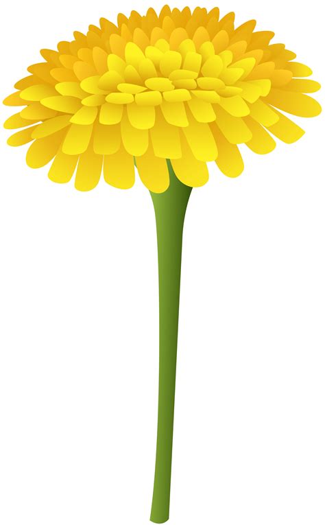 This sequence depicts the life cycle of a. Dandelion Clipart | Free download on ClipArtMag