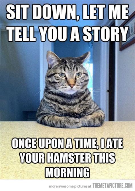 Lolcats clean lol at funny cat memes funny cat pictures with. CLEAN MEMES image memes at relatably.com