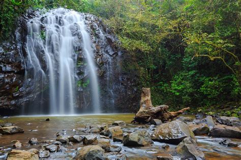 Elinjaa Falls Millaa Millaa Atherton Tablelands Tropical North Qld