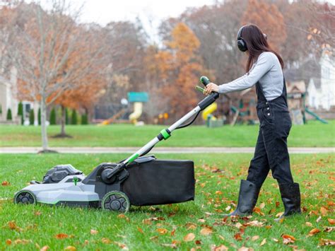 Why You Should Stop Ignoring Your Lawn During The Winter Months