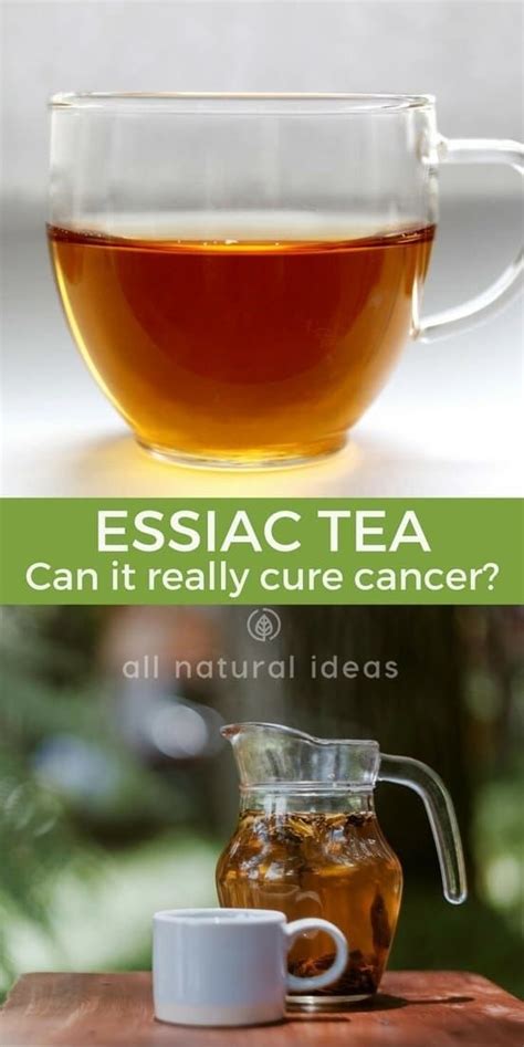 Are Essiac Tea Benefits Proven All Natural Ideas Cancer Fighting Smoothies Recipes Essiac