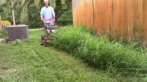 Lawn Care Vlog 41 Mowing A New Yard Tall Grass Lawn Makeover Youtube