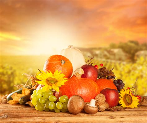 Autumn Harvest Background