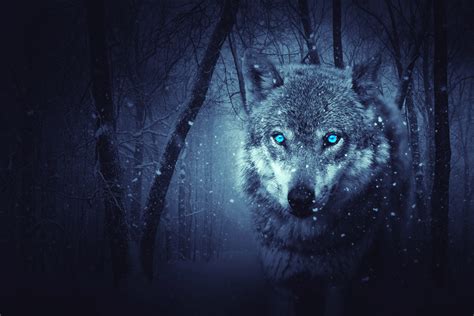 Use these downloadable assets as you craft your communications and be wolf in a fantasy world ultra hd 4k wallpaper uhd4kwallpapers com. Fantasy Wolf 5k, HD Artist, 4k Wallpapers, Images ...