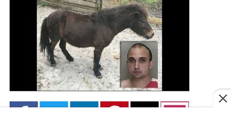 Florida Man November 21st