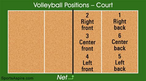 Volleyball Positions On The Court Every Player Should Know