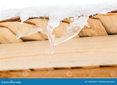 Wonderful Icicles Melt On The Wooden Roof With Water Drops Spring Is