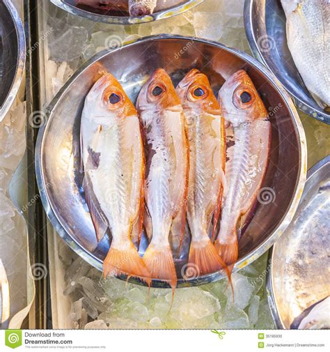 Whole Fresh Fishes Offered Stock Photo Image Of Animal 35185930