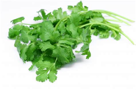 Ramai orang keliru mengenai daun ketumbar. Hanieliza's Cooking: Daun Ketumbar Corriander Leaves VS ...