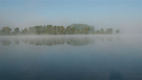 Wallpaper Lake Water Nature Reflection Morning Mist Haze Fog