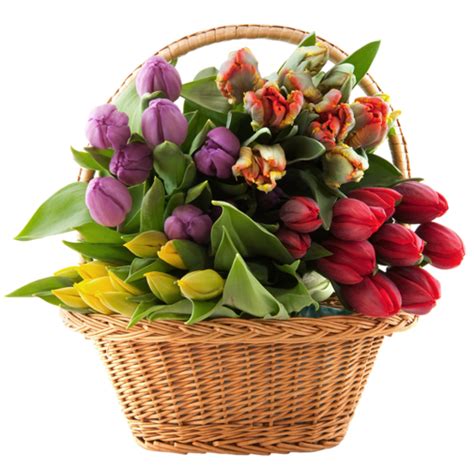Transparent Basket With Tulips Png Clipart Gallery Yopriceville