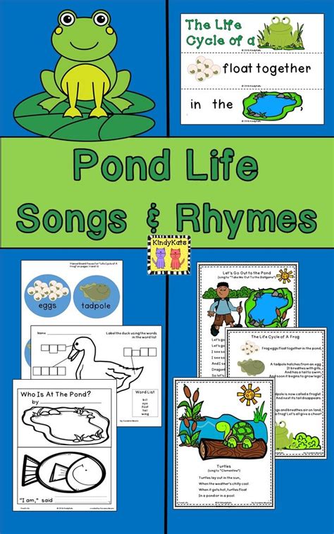 Pond Life Activities For Kids