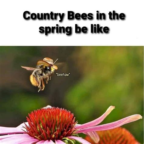 Buzzing Into Spring Rwholesomememes Wholesome Memes Know Your Meme