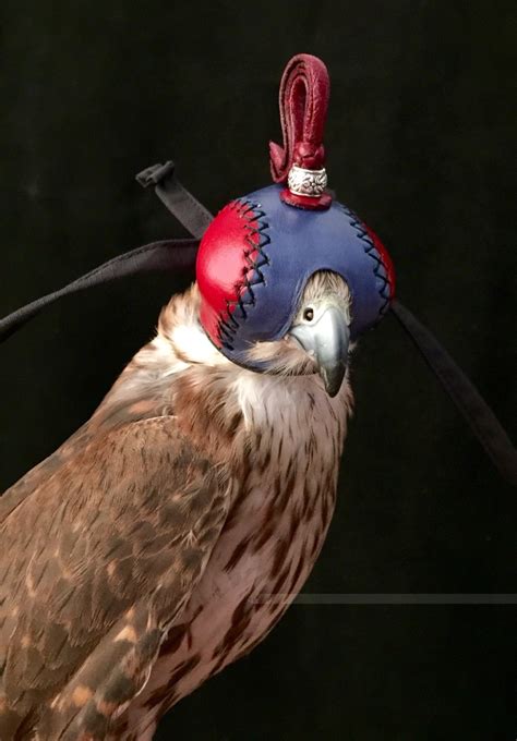 falconry eagle screaming hood falcon hat eye mask helmet dutch pedal