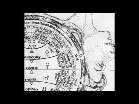 12 Cell Salts And The Zodiac - YouTube
