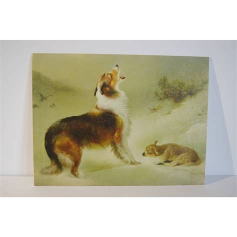 Collie Dog With Lost Lamb By Walter Hunt On Foam Core Etsy