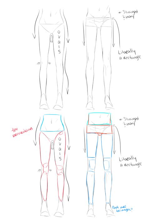 Takahiro kimura female anime legs turnaround the drawing website. Female vs Male Figures Reference (With images) | Drawing legs, Anime drawings tutorials