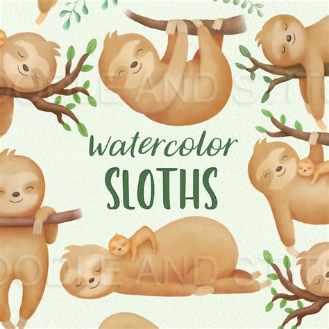 Sloth Watercolor Etsy