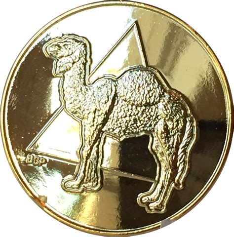 Pin on Gold Plated AA Medallions