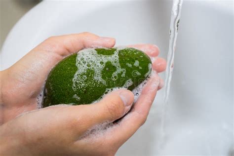 Washing Fruit With Soap And Foam Wash Avocados Stock Image Image Of Juice Diet 189251831