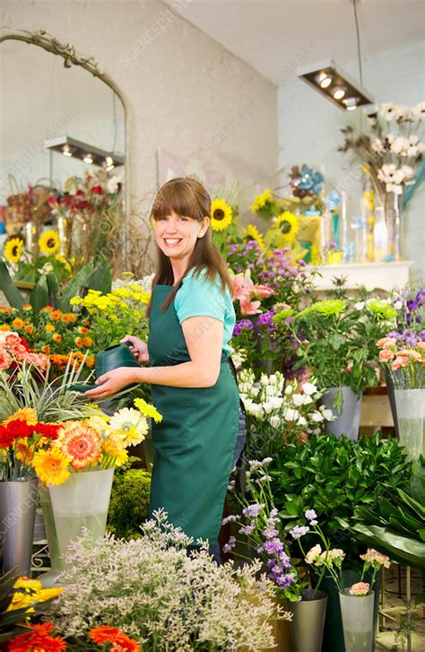 Specify address, we will show you closest shops with actual prices. Florist at work in flower shop - Stock Image - F005/2760 ...