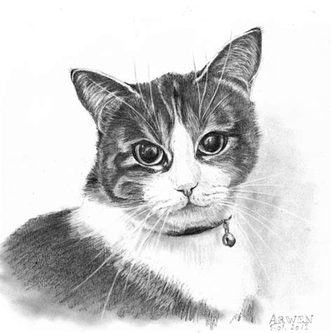 And your chat bot will automatically answer the vast majority of your customers' questions, without the need to engage live operators for this. Premiers dessins : les animaux - DESSIN OU PEINTURE