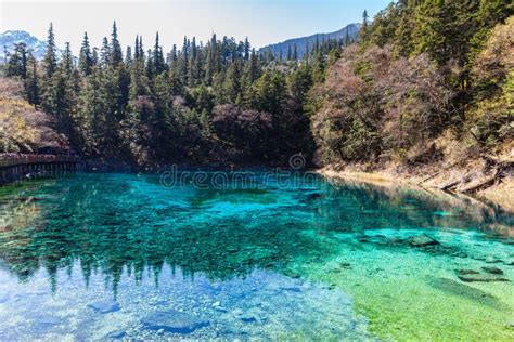 Beautiful Pond In Jiuzhaigou National Park Stock Image Image Of
