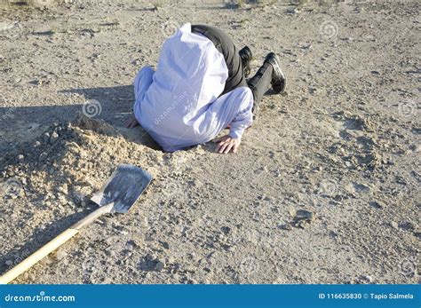 Bury Your Head In The Sand Stock Photo Image Of People 116635830