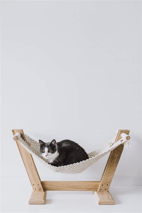 Cat Hammock Ergonomic Cat Bed Cat Furniture Cat Macrame Pet Hammock