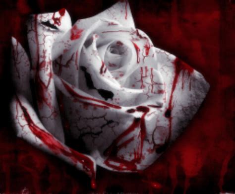Blood Rose Wallpaper Gothic Skulls Wallpaper ·① Wallpapertag Exactwall