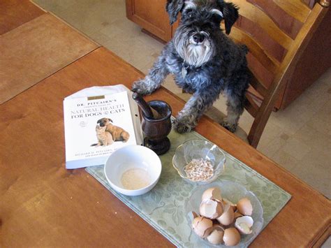 Find deals on products in dog supplies on amazon. Dream Dogz: How to make eggshell powder