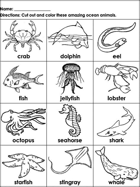 Ocean Coloring Pages Sea Animals Preschool Animals Black And White