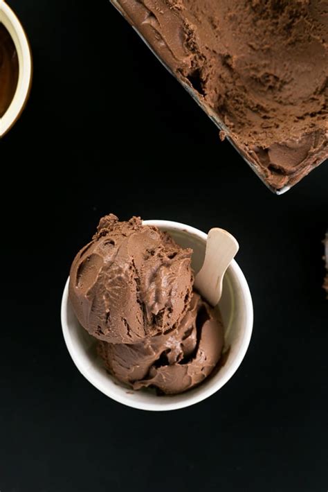 Vegan Chocolate Ice Cream Foolproof Recipe Crazy Vegan Kitchen