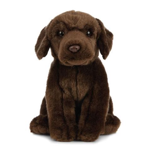 Fun Time Guaranteed 10 Best Labrador Toys To Keep Your Furry Friend