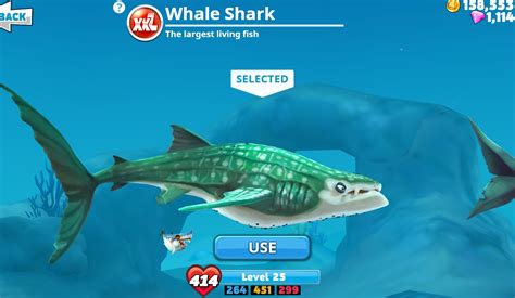 We have a special event for killer whale, this shark has grown bigger, stronger, faster. Image - WhaleShark.jpeg | Hungry Shark Wiki | FANDOM ...