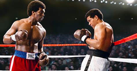 94 Best Boxing Movies Of All Time Rotten Tomatoes